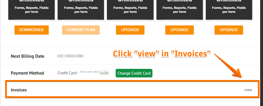Is there a way I can retrieve our monthly invoices? Image 2 Screenshot 41