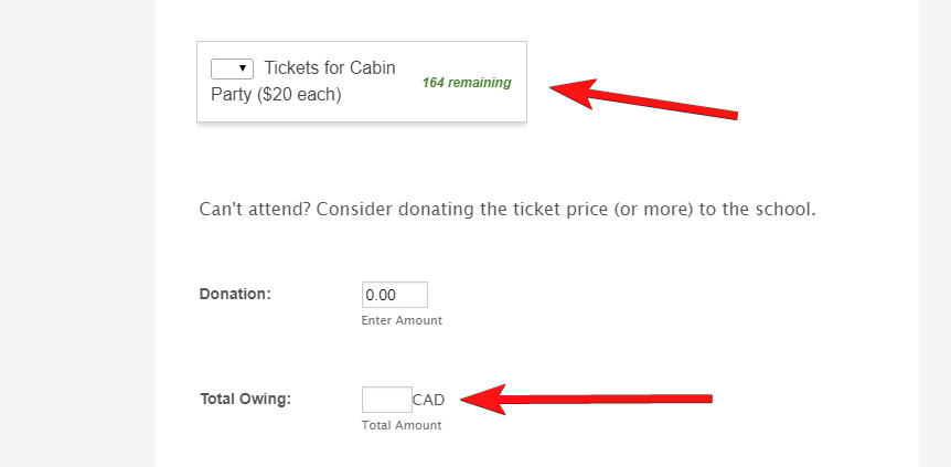 Ticket Form   Confirmation Email when Payment Received not Form Submission Image 1 Screenshot 20