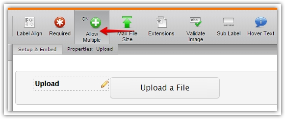 Can I change the button choose file  and upload a file language ?  Image 1 Screenshot 30