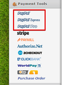 Replacing PayPal button with a PayPal form on website Image 1 Screenshot 20