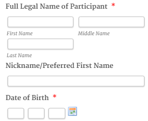 Can I make the borders of my fields appear on the mobile version of my form? Image 1 Screenshot 20