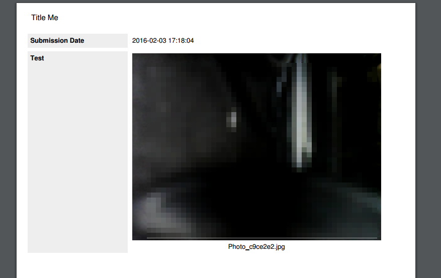 Take Photo Widget: Not showing the actual image on the PDF when uploading via mobile (fallback upload) Image 1 Screenshot 20
