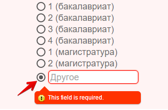 Form Designer: Other option does not have custom radio button or checkbox style Image 2 Screenshot 41