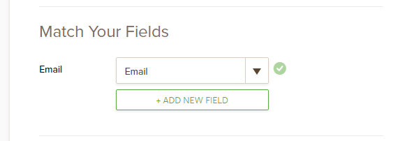 Mailchimp integration, only email field was collected Image 1 Screenshot 30