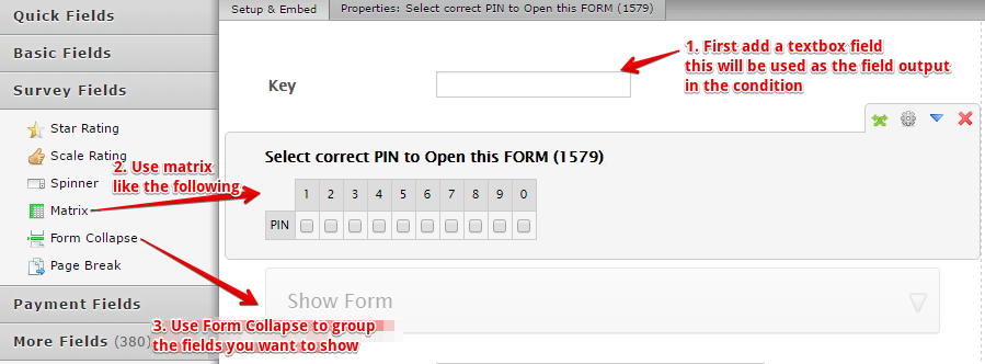 Password protect form through condition Image 1 Screenshot 106