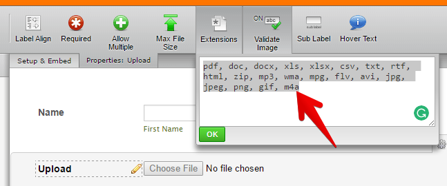Adding file type to the file upload field Image 1 Screenshot 30