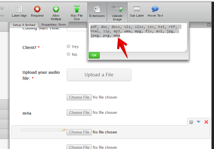Adding file type to the file upload field Image 2 Screenshot 41