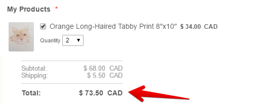 Is there a way to offer a different shipping charges based on countries? Image 2 Screenshot 41