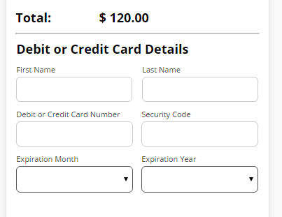 CSS for Adjusting Credit Card Payment fields Image 2 Screenshot 41