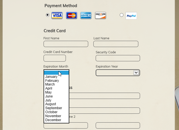 Credit Card Number field not displaying correctly with Internet Explorer Image 1 Screenshot 20