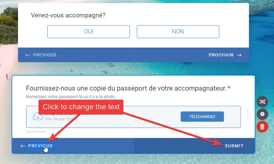 How can I change the NEXT / PREVIOUS / SUBMIT in french (card form)? Image 1 Screenshot 20