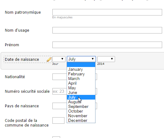 In the submission editor, the month of date field disappear because the french format used Image 1 Screenshot 30