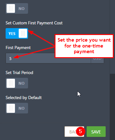 How to setup one time charge in Stripe subscription Integration? Image 4 Screenshot 83