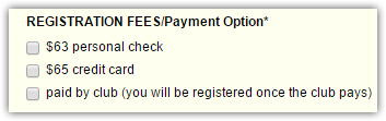 Submit button always redirects to Paypal regardless of the payment option chosen Image 1 Screenshot 30