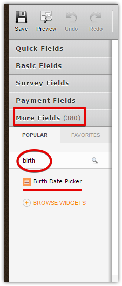 where is the birtday option for a sales form?  Image 1 Screenshot 20