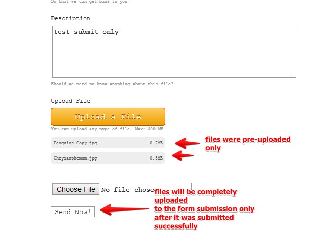 Form is not accepting some file upload Image 2 Screenshot 51