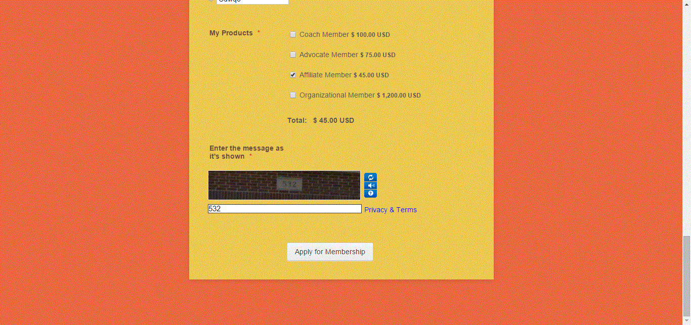 This page cannot be displayed Error is shown when form has been submitted