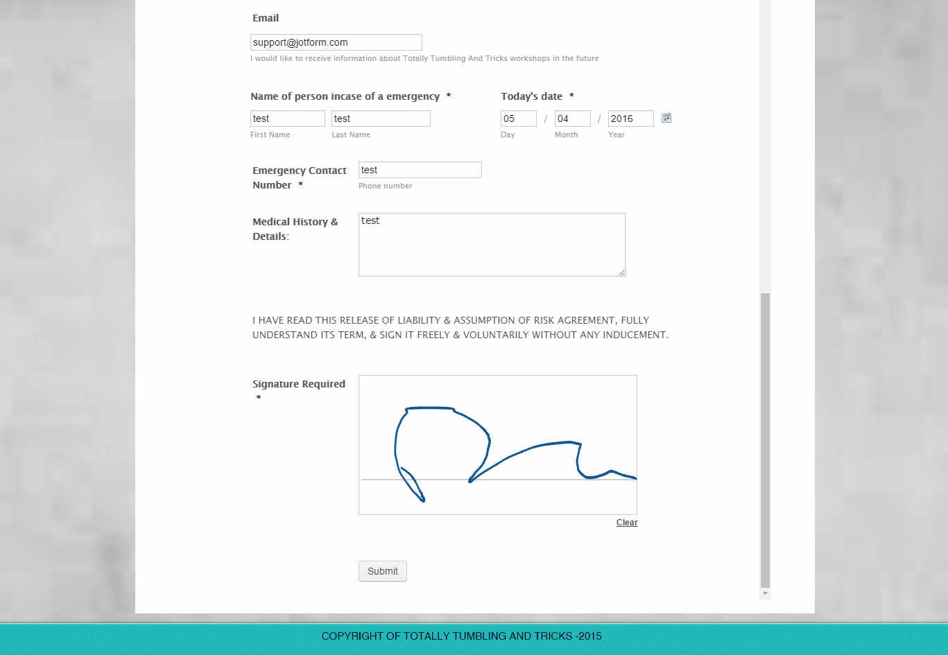 My Customers are telling me My Forms on My Website are not Submitting Image 1 Screenshot 20