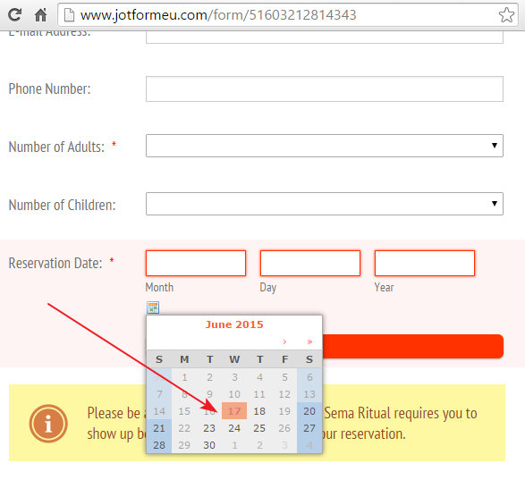 DateTime Field accepting unavailable dates using lightbox on a WordPress site Image 1 Screenshot 40