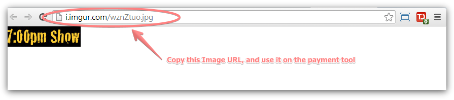How do I add an Image URL in the PayPal setup wizard? Image 2 Screenshot 41