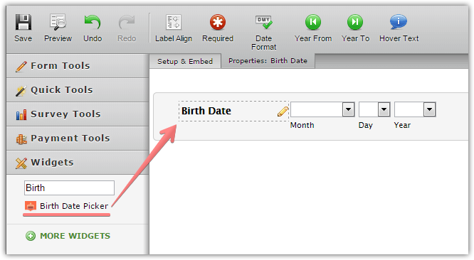 Add a Birth Date Picker Field to Form Image 1 Screenshot 20