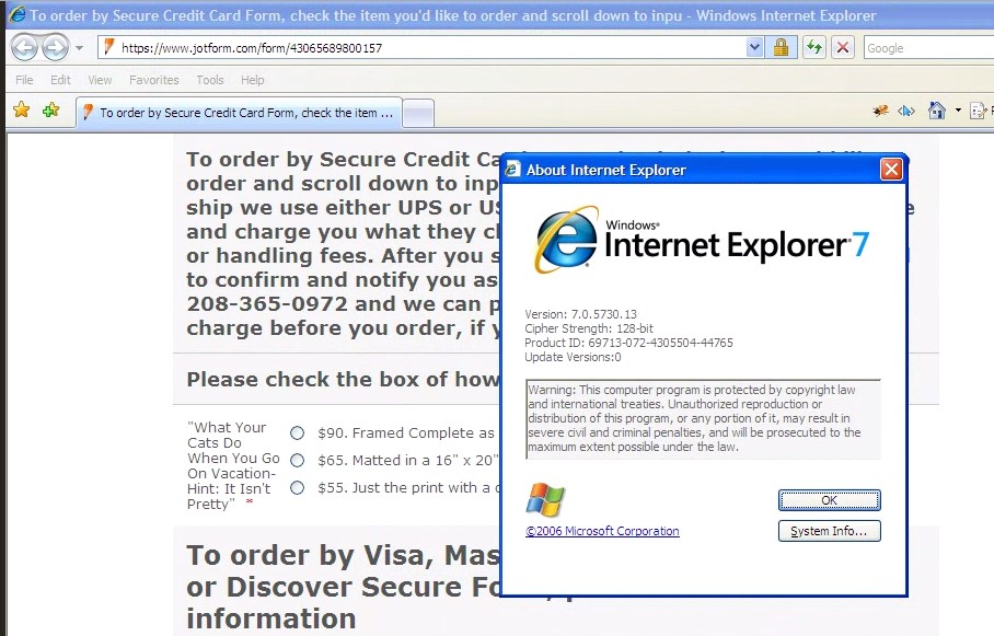 Internet Explorer 8 says problem with Site Security and wont open secure jotform forms Image 1 Screenshot 20