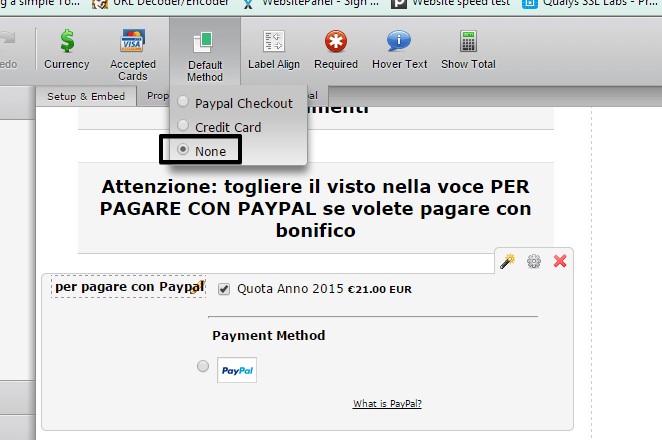 Remove the default selection for the payment method on the PayPal integration Image 1 Screenshot 30