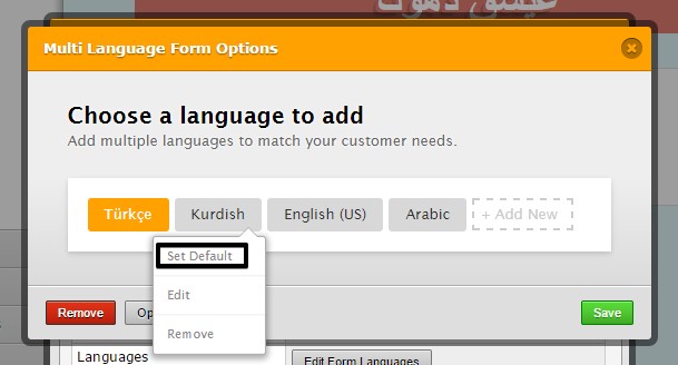 How can I make the fields name appear in English on a multilanguage form? Image 1 Screenshot 30