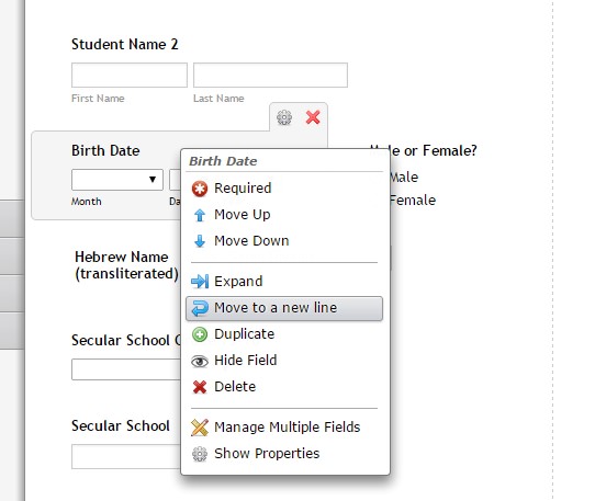 Online form looks different from how it looks on the editor Image 1 Screenshot 40