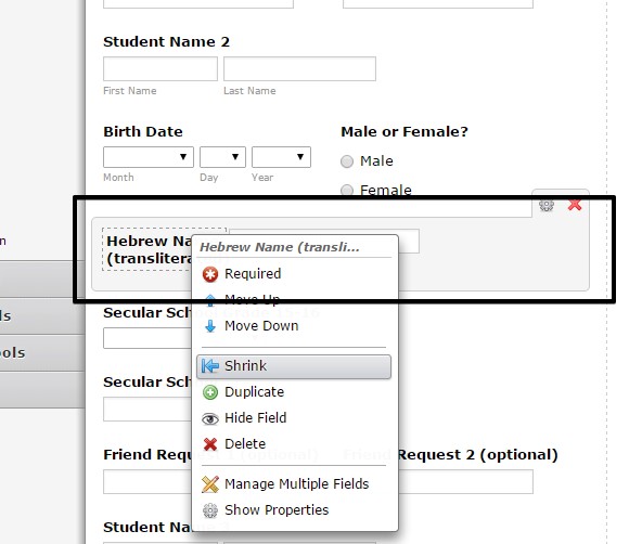 Online form looks different from how it looks on the editor Image 4 Screenshot 83