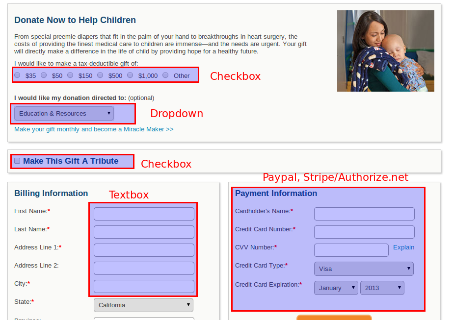 How can I recreate a payment/donation form to look like the website link below?  Image 1 Screenshot 30