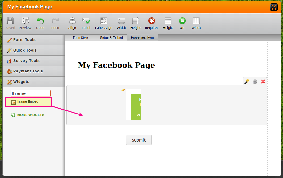 How do I add my facebook fan page feed to my form?  Image 4 Screenshot 93