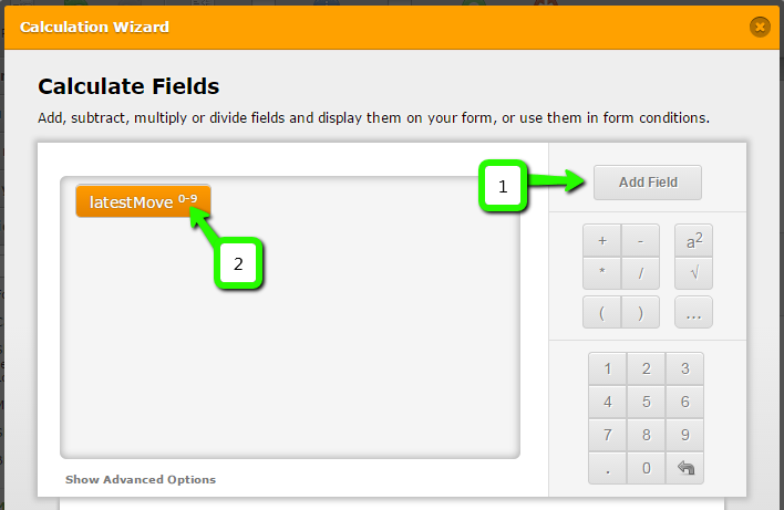 Can Fields Be Shown or Hidden Based on a Default or Selected Date? Image 2 Screenshot 81