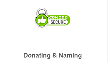 How can I keep the Comodo secure seal from being HUGE on a mobile device? Image 1 Screenshot 20