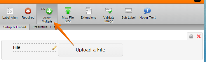Clear the selected item in Single File Upload field Image 2 Screenshot 51