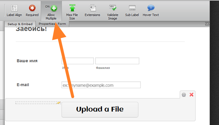 How can I remove a file in the single file upload field? Image 3 Screenshot 72