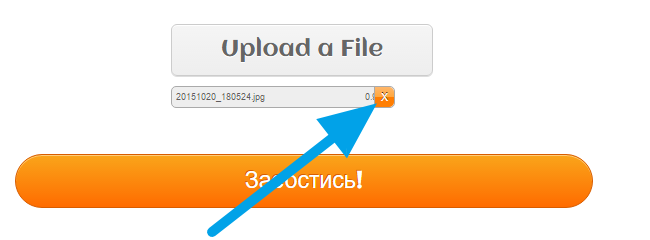 How can I remove a file in the single file upload field? Image 4 Screenshot 83
