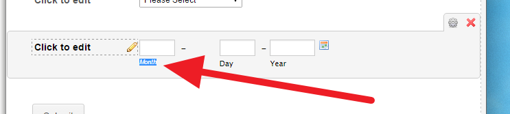 How to put the date field on the right side and how to change its language? Image 1 Screenshot 20