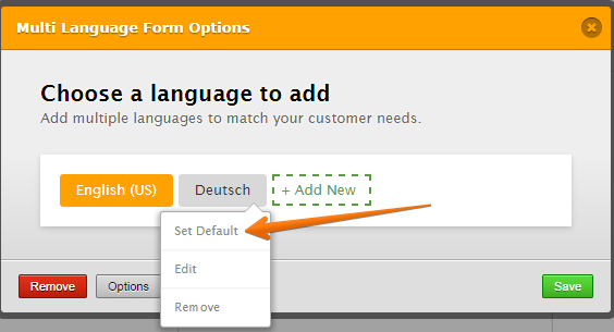 How can I have my form default to multiple languages Image 1 Screenshot 20