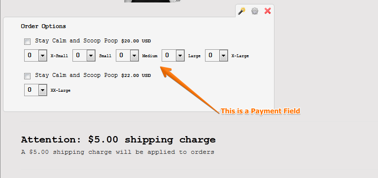 Form wont let me add a Payment Tool, it says it already has one Image 1 Screenshot 20