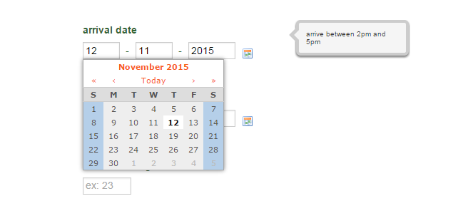 Year selector in DateTime field is not working Image 1 Screenshot 20