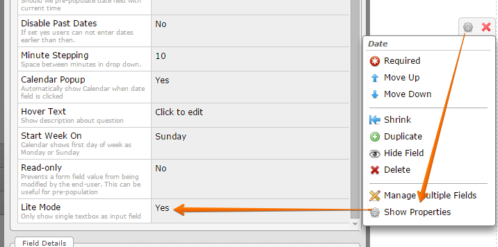 Google Drive Integration: How to show date time field into a single text box? Image 1 Screenshot 20